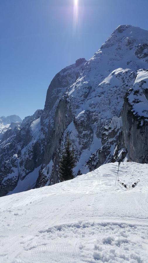 Appartement Leh Annaberg im Lammertal Exteriér fotografie