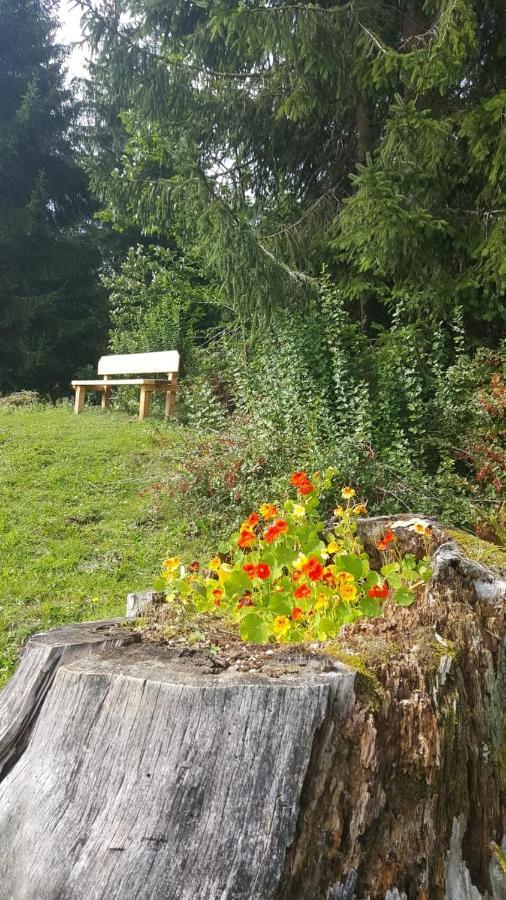 Appartement Leh Annaberg im Lammertal Exteriér fotografie