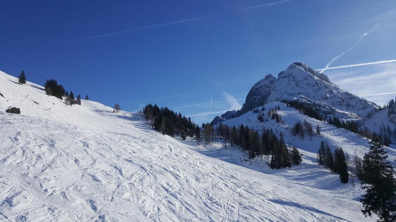 Appartement Leh Annaberg im Lammertal Exteriér fotografie