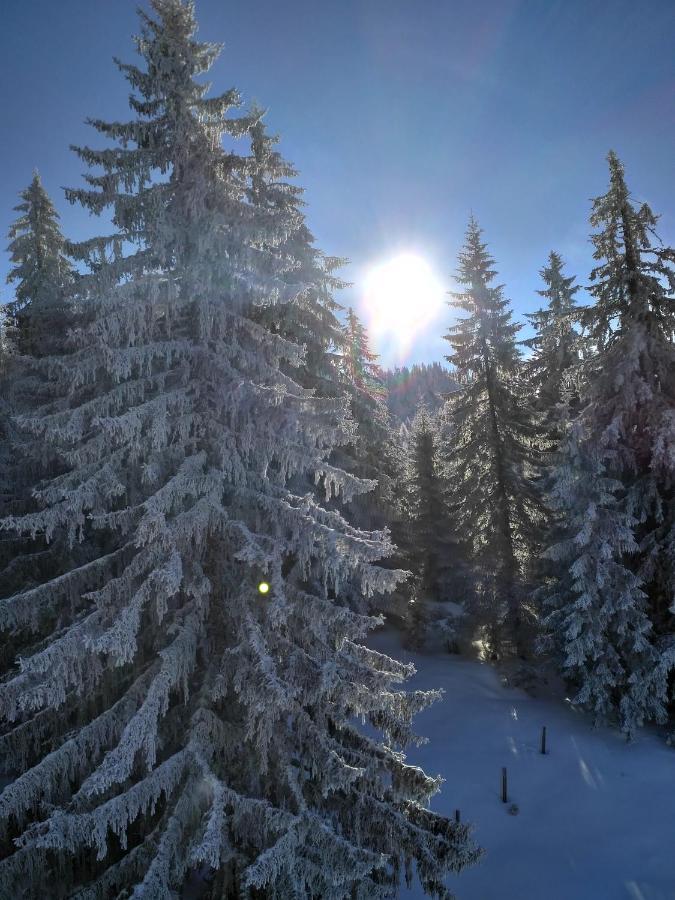 Appartement Leh Annaberg im Lammertal Exteriér fotografie