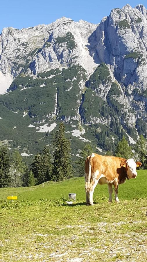 Appartement Leh Annaberg im Lammertal Exteriér fotografie